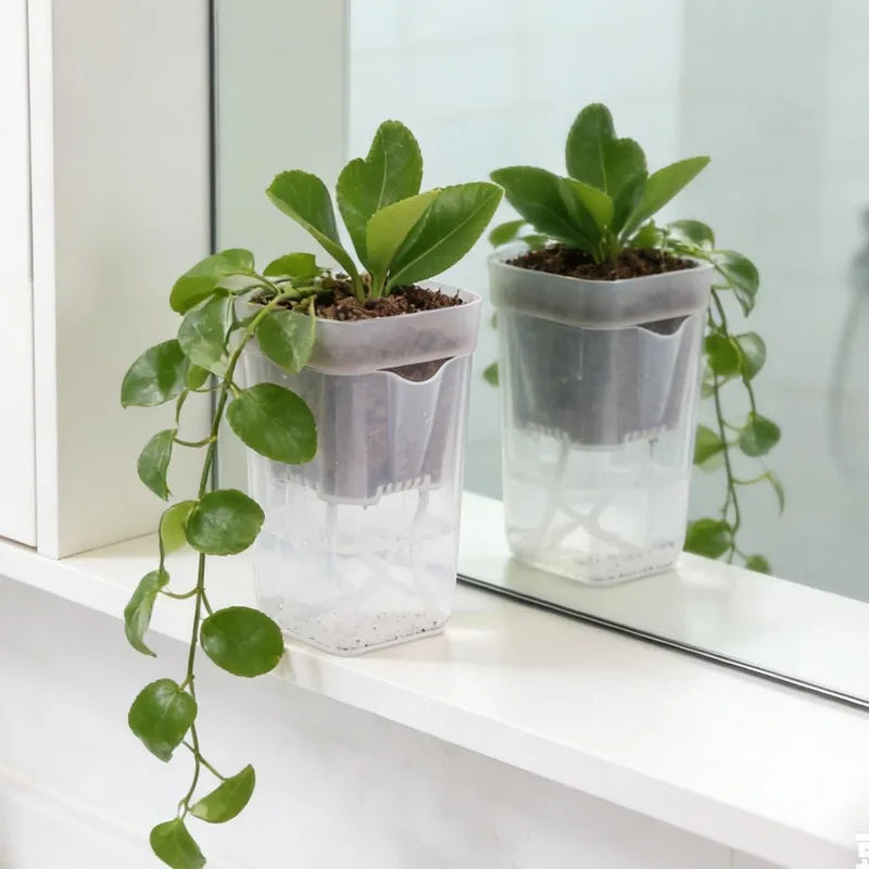 Smart Self-Watering Plant Pot
