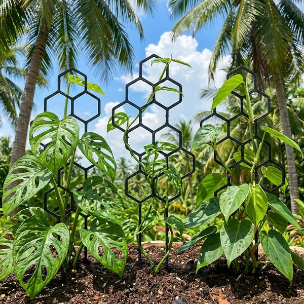 Honeycomb Plant Trellis Set