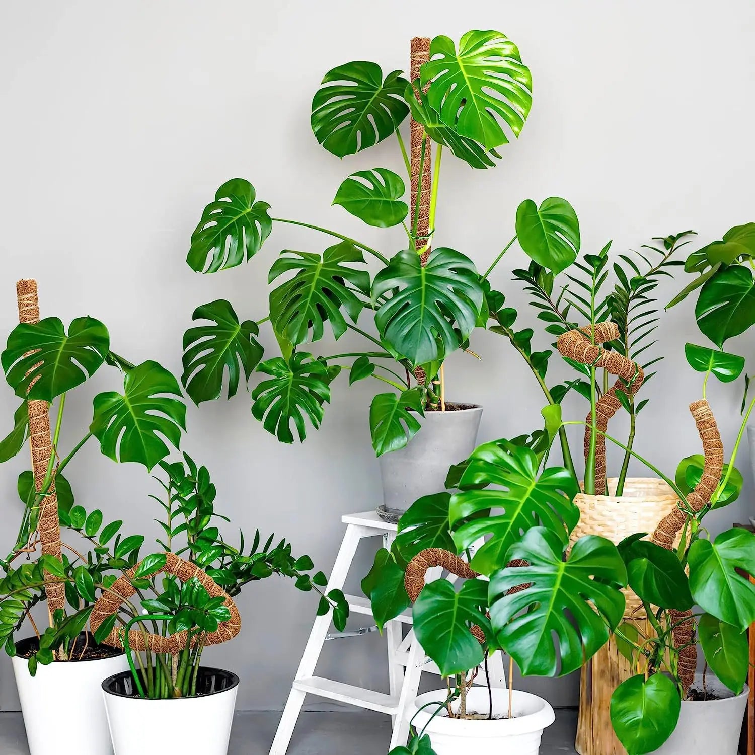 Bendable Plant Support Pole