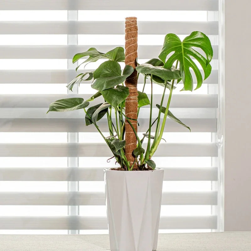 Bendable Plant Support Pole
